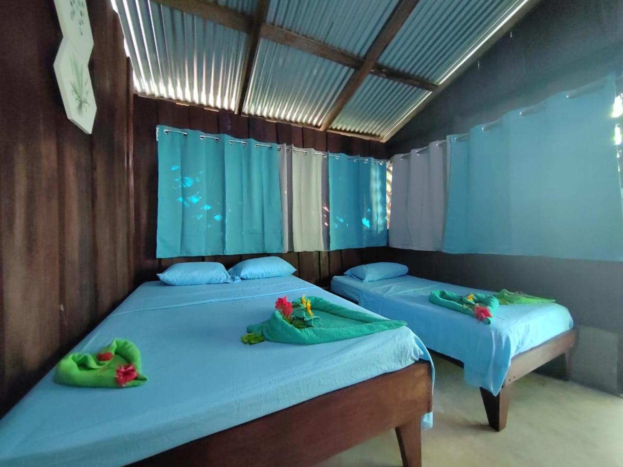 Los Paniquines Ecolodge Drake Bay Exterior photo