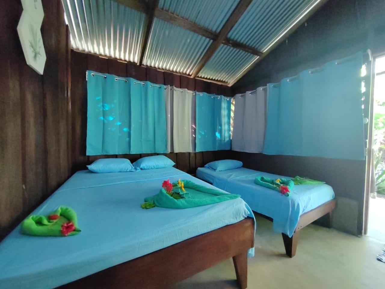 Los Paniquines Ecolodge Drake Bay Exterior photo