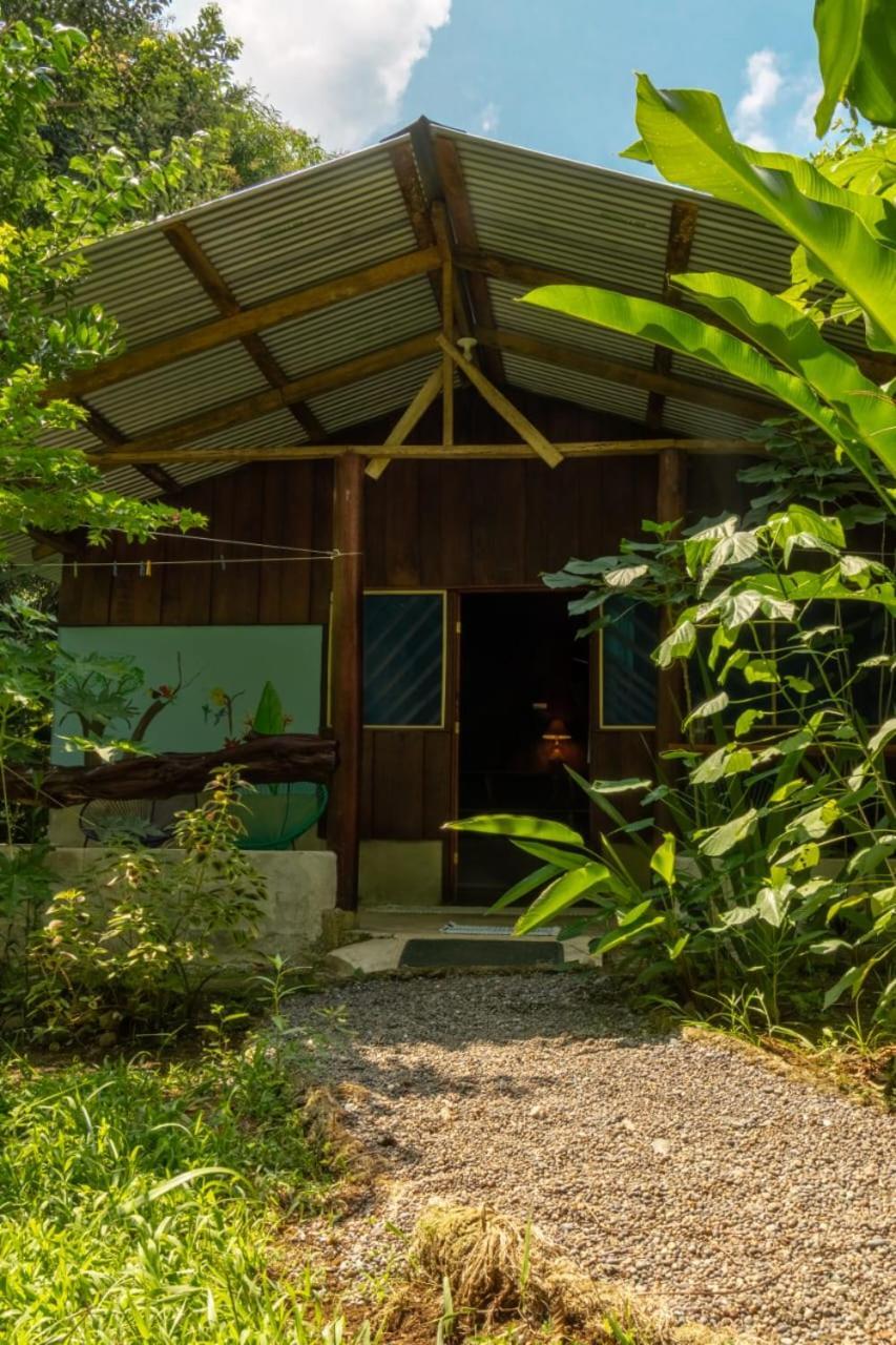 Los Paniquines Ecolodge Drake Bay Exterior photo