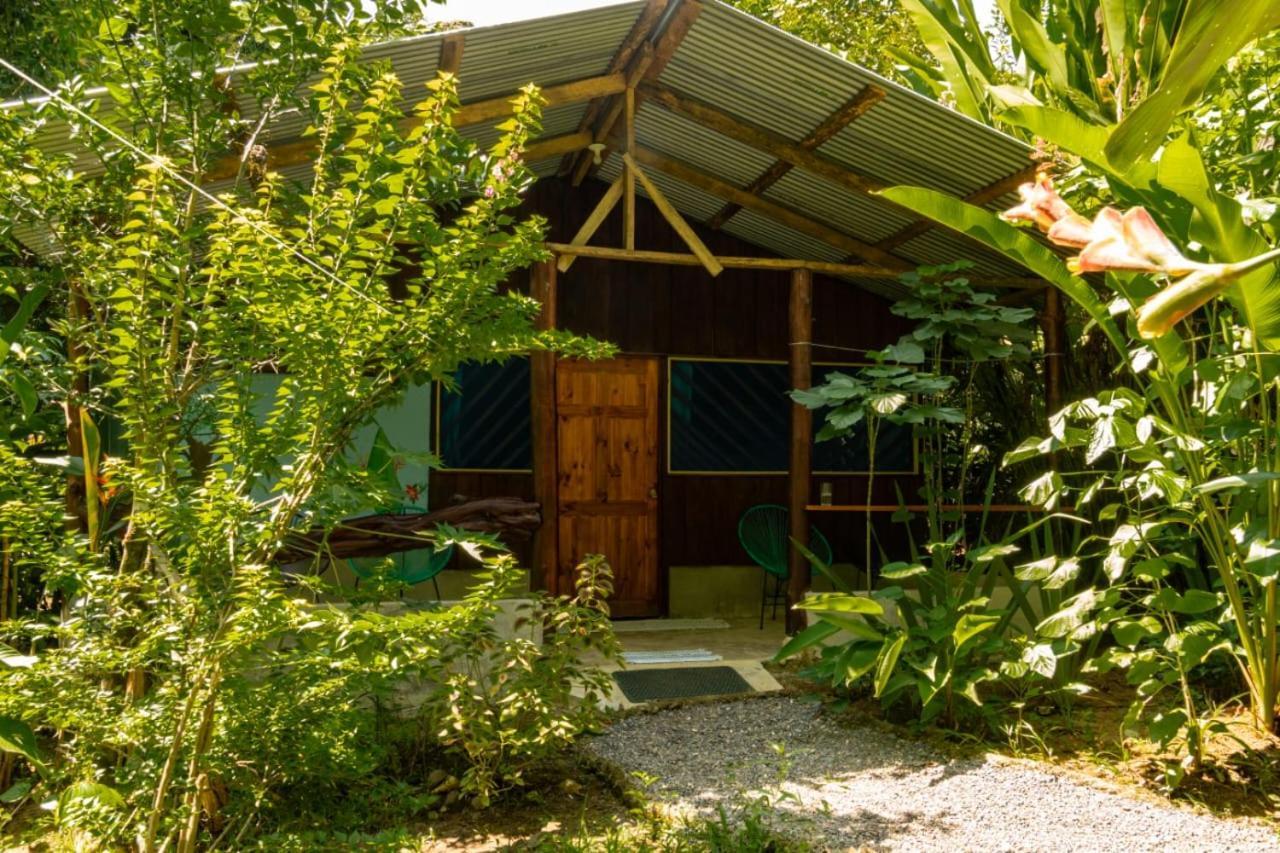 Los Paniquines Ecolodge Drake Bay Exterior photo